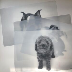 NEW! Kikkerland Lenticular Doggy Mats (set of 4 different pups)